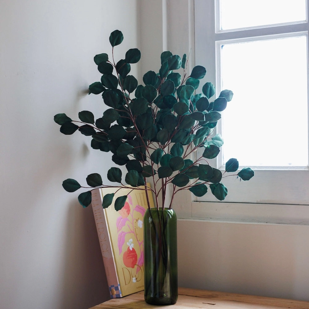 Eucalyptus gum tree en papier vert fort