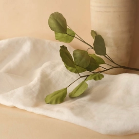 Eucalyptus Populus en papier vert clair,mother's day bouquet