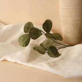 Eucalyptus Populus en papier vert mlang,mother's day bouquet