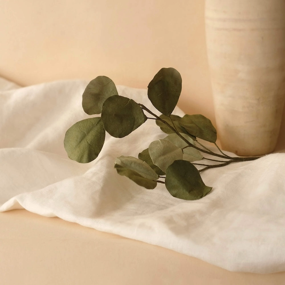 Eucalyptus Populus en papier vert mlang,mother's day bouquet