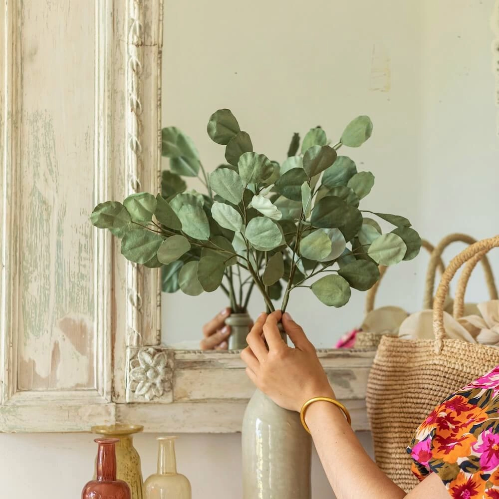 Eucalyptus Populus en papier vert mlang