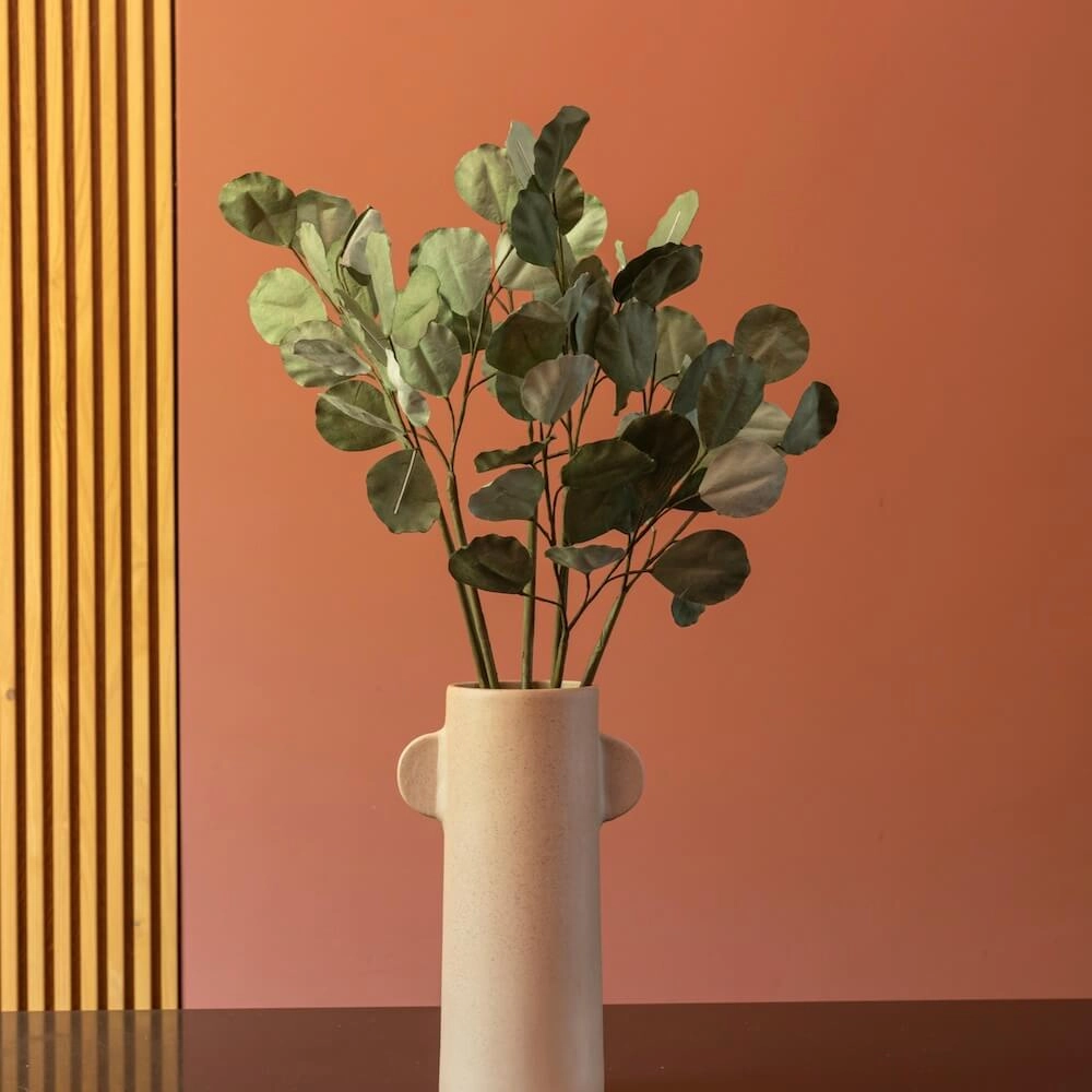 Eucalyptus Populus en papier vert mlang