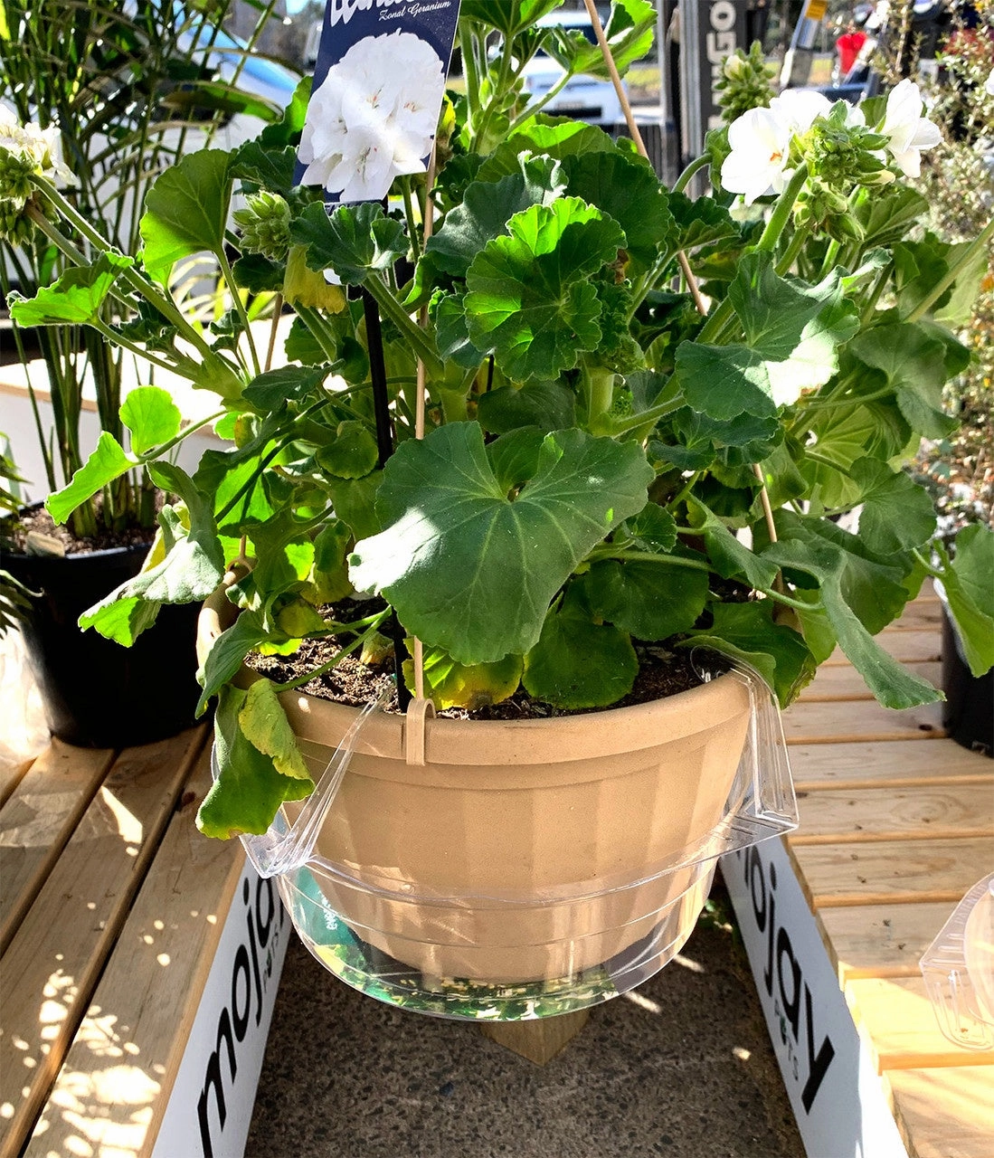 Everspring Hanging Saucer - Vinyl Saucer Clear Round,terracotta plant pot