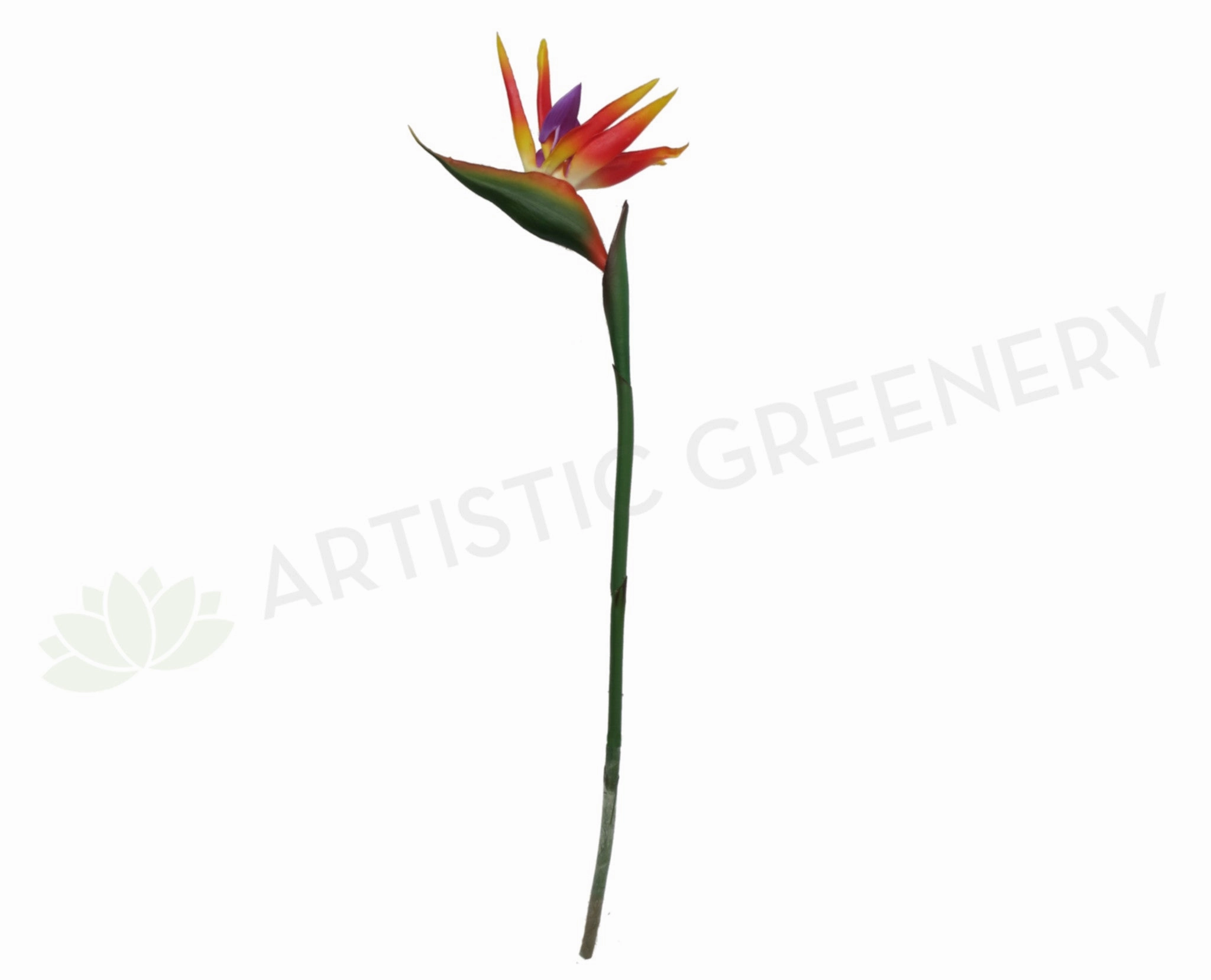 realistic flower bouquet