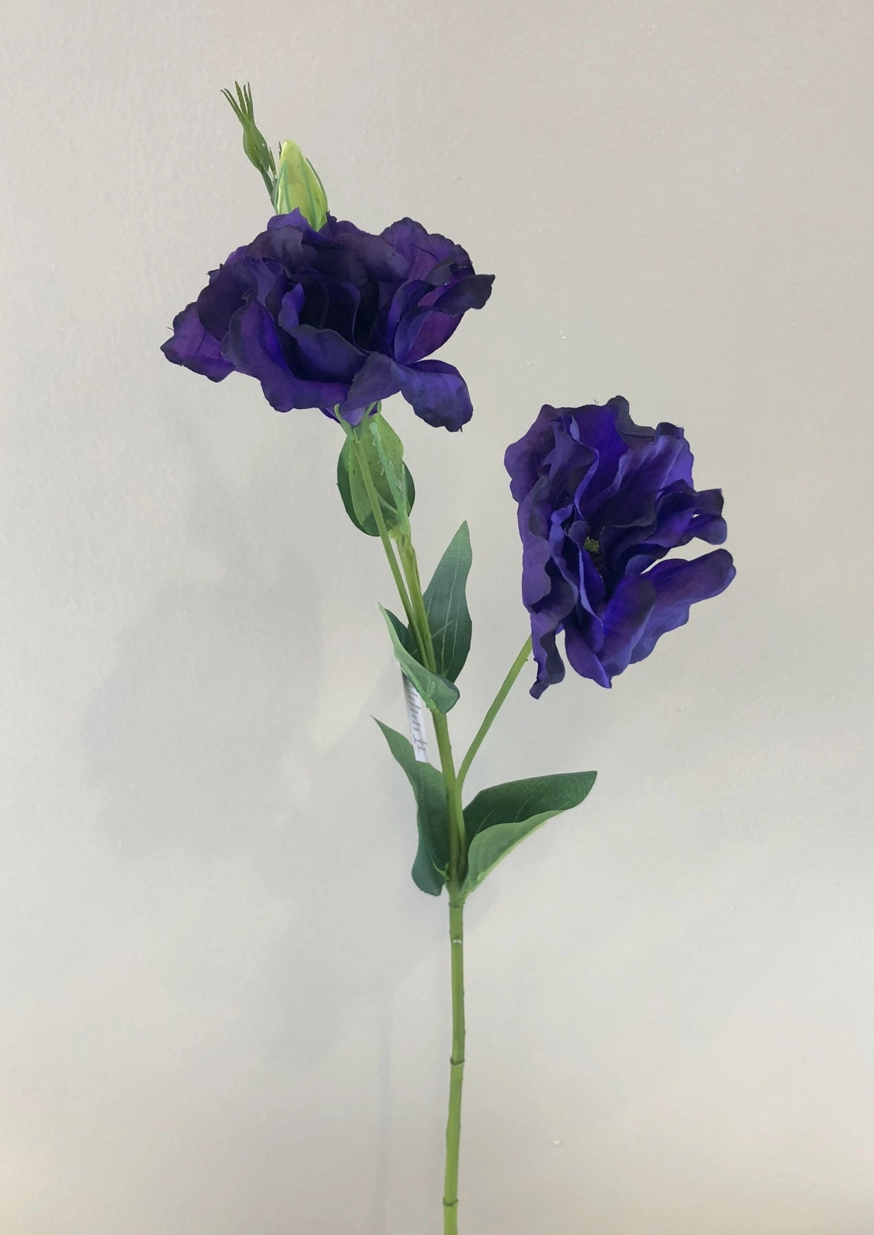 F0087 Lisianthus Spray 80cm 5 Colours