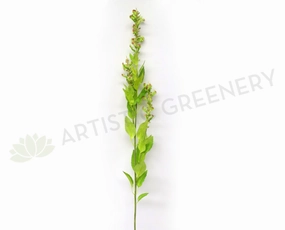 realistic flower bouquet