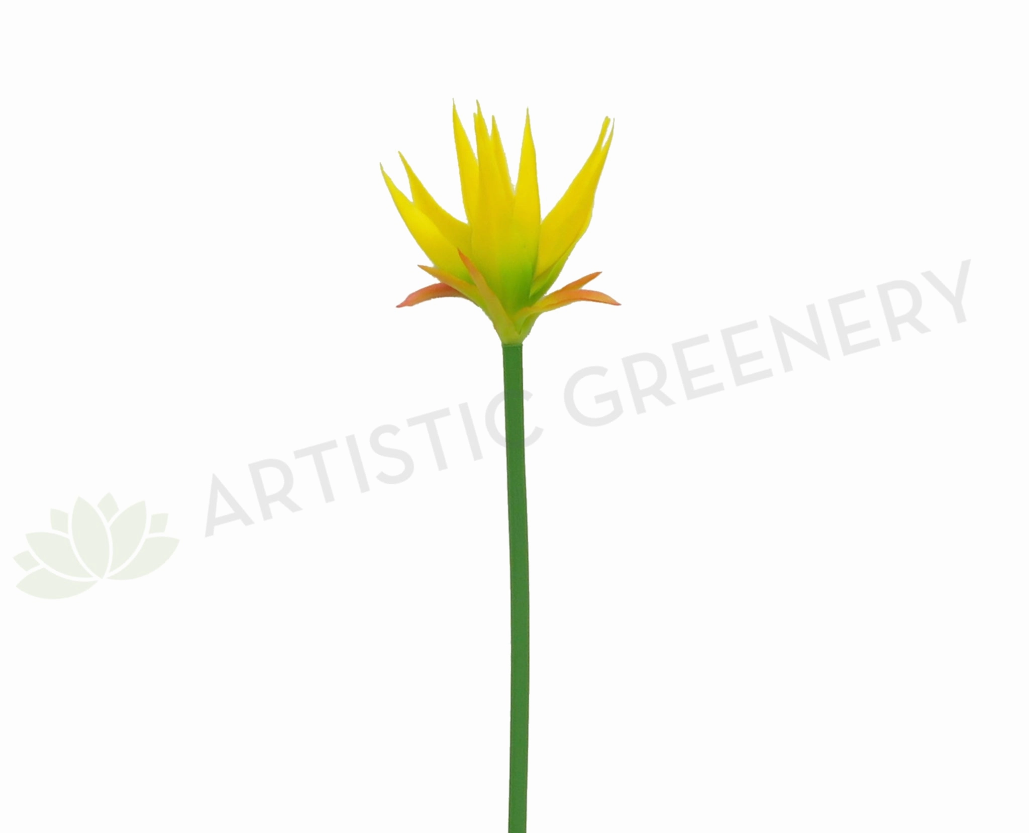 realistic flower bouquet