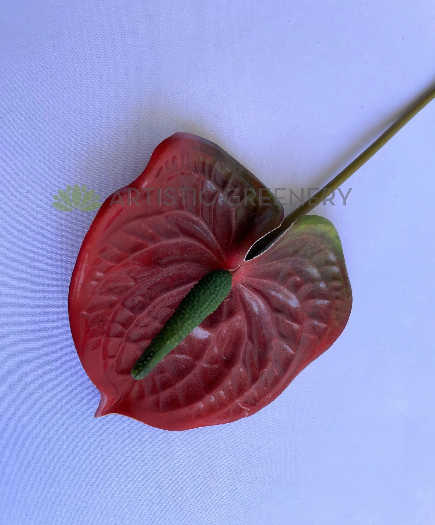 F0257 Anthurium / Flamingo Flower 55cm Red / Green