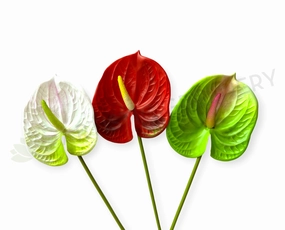 realistic flower bouquet