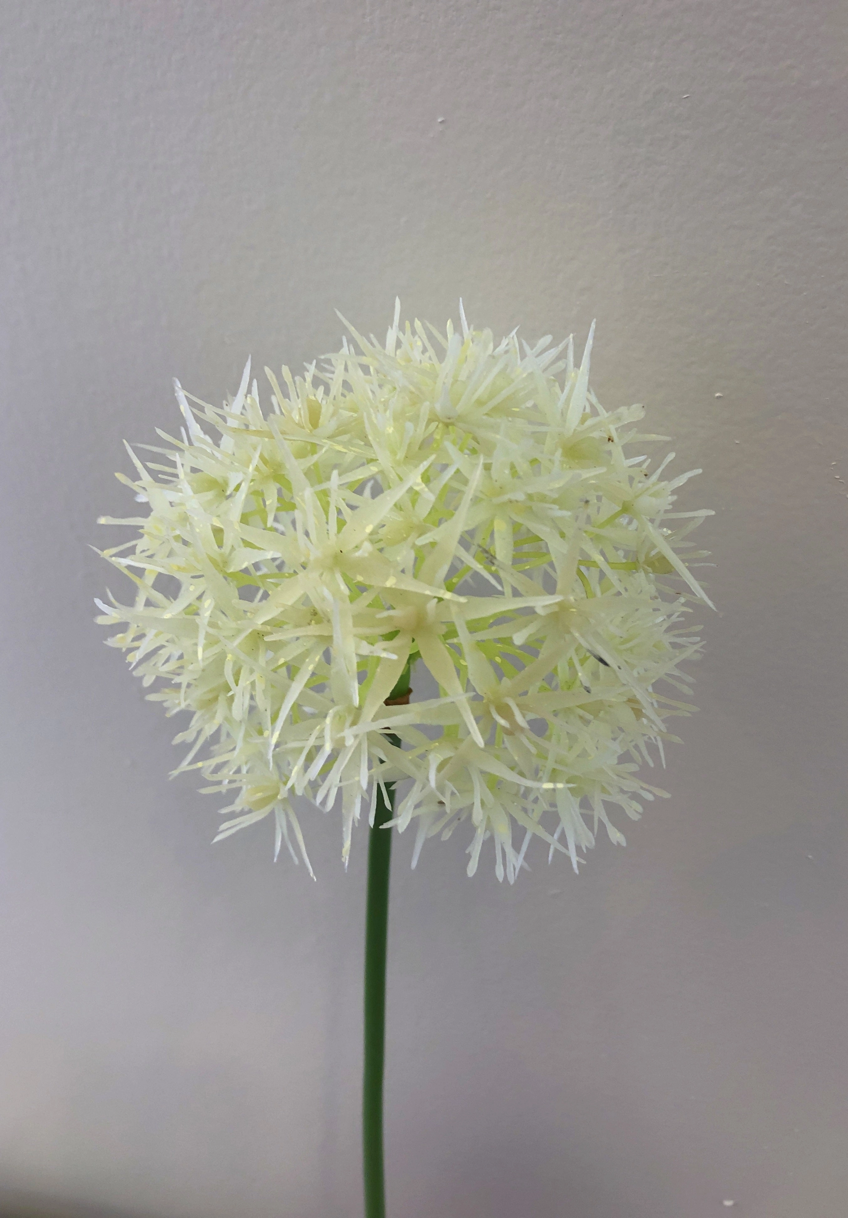 F0272 Single Allium Stem 49cm Purple / White (Clearance Stock)