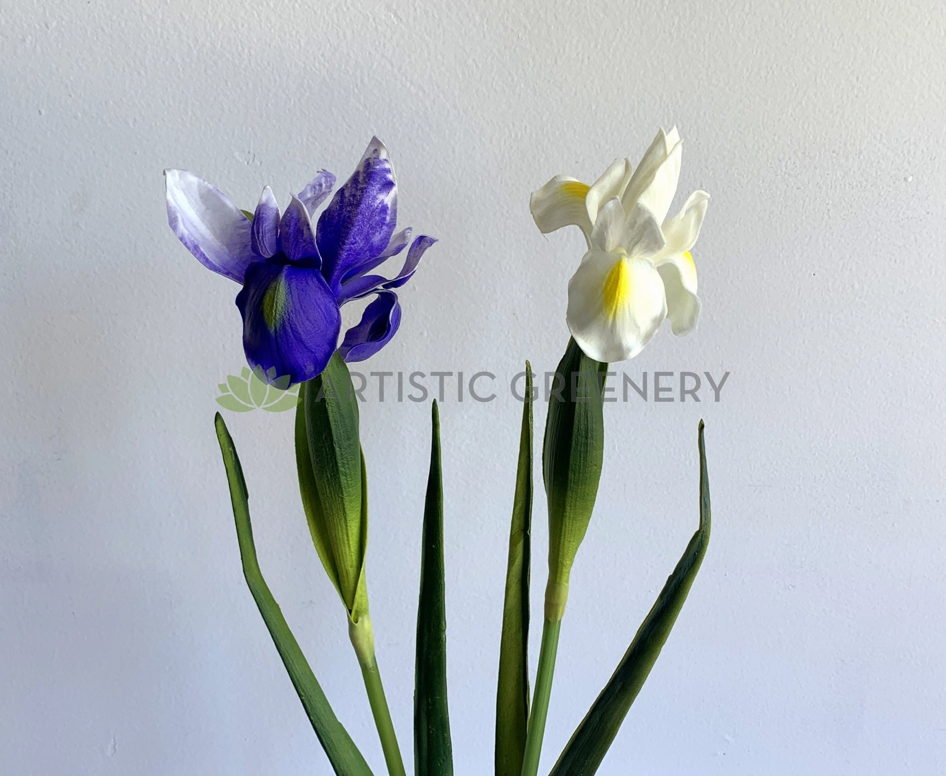 F0326 Dutch Iris Stem 60cm Purple / White (Real Touch Quality)