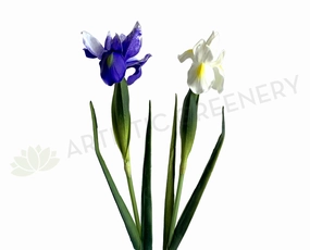 realistic flower bouquet