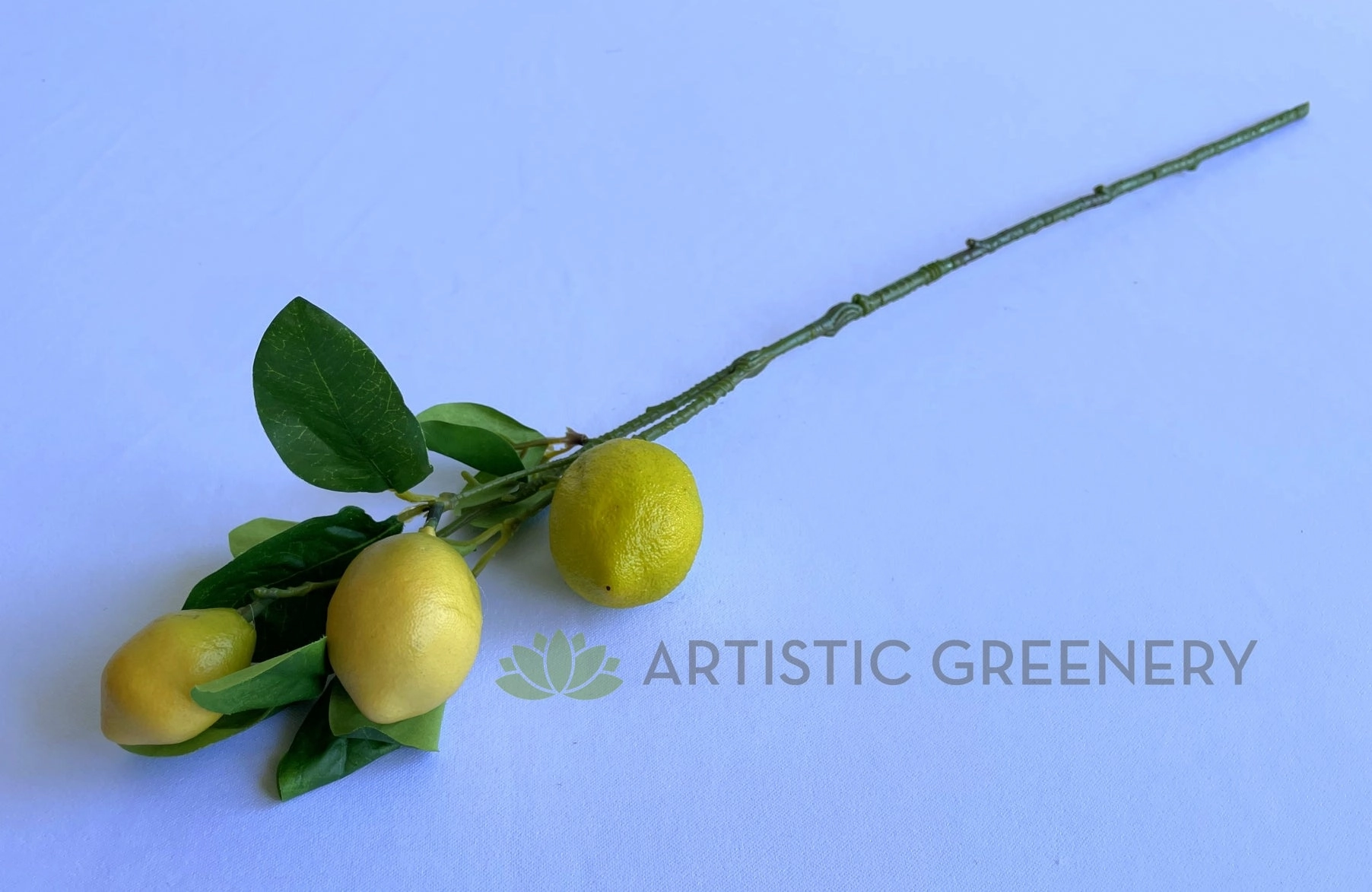 F0397 Lemon Foliage 59cm