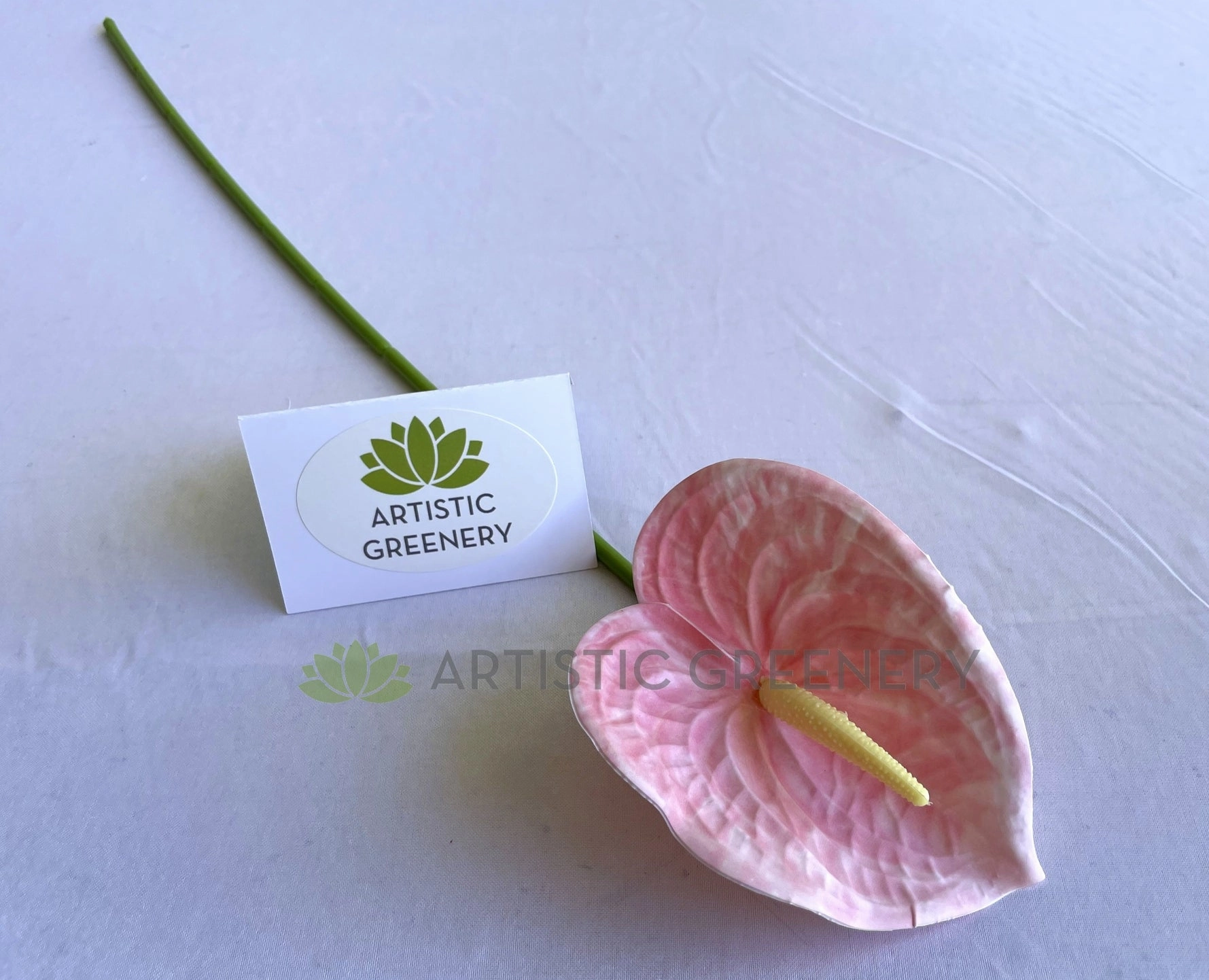 F0414 Anthurium / Flamingo Flower 60cm White / Pink
