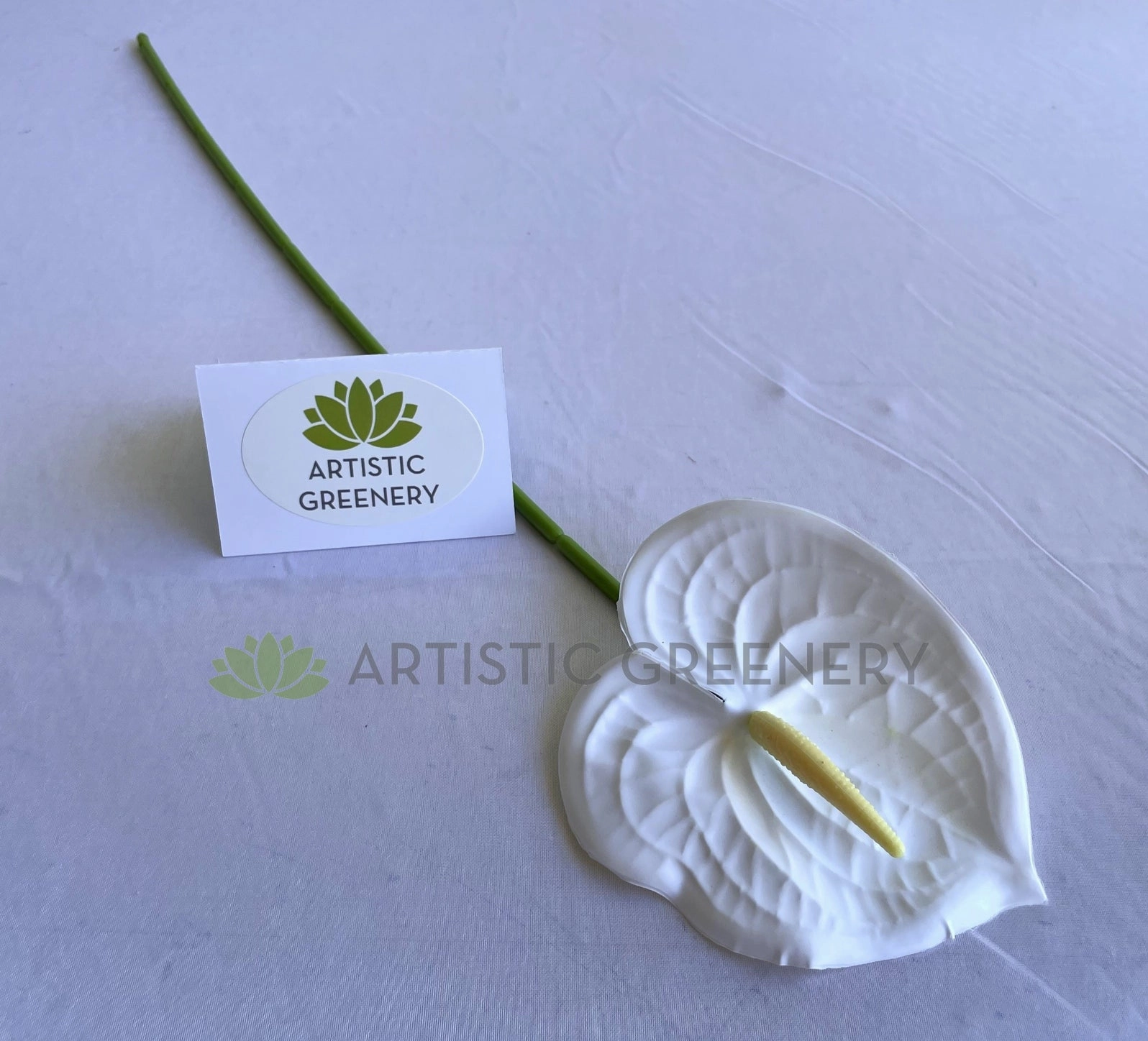 F0414 Anthurium / Flamingo Flower 60cm White / Pink