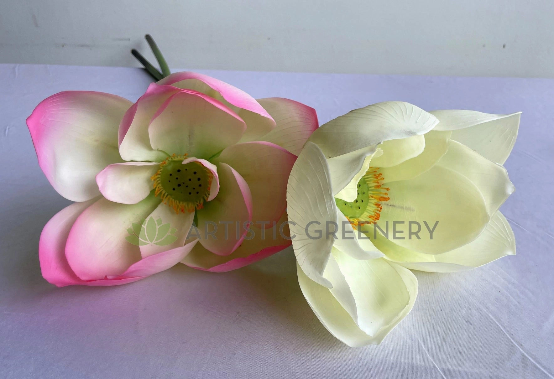 F0415 Lotus Flower (Nelumbo Nucifera) 90cm Pink / White