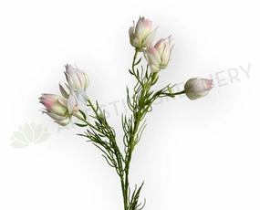 realistic flower bouquet