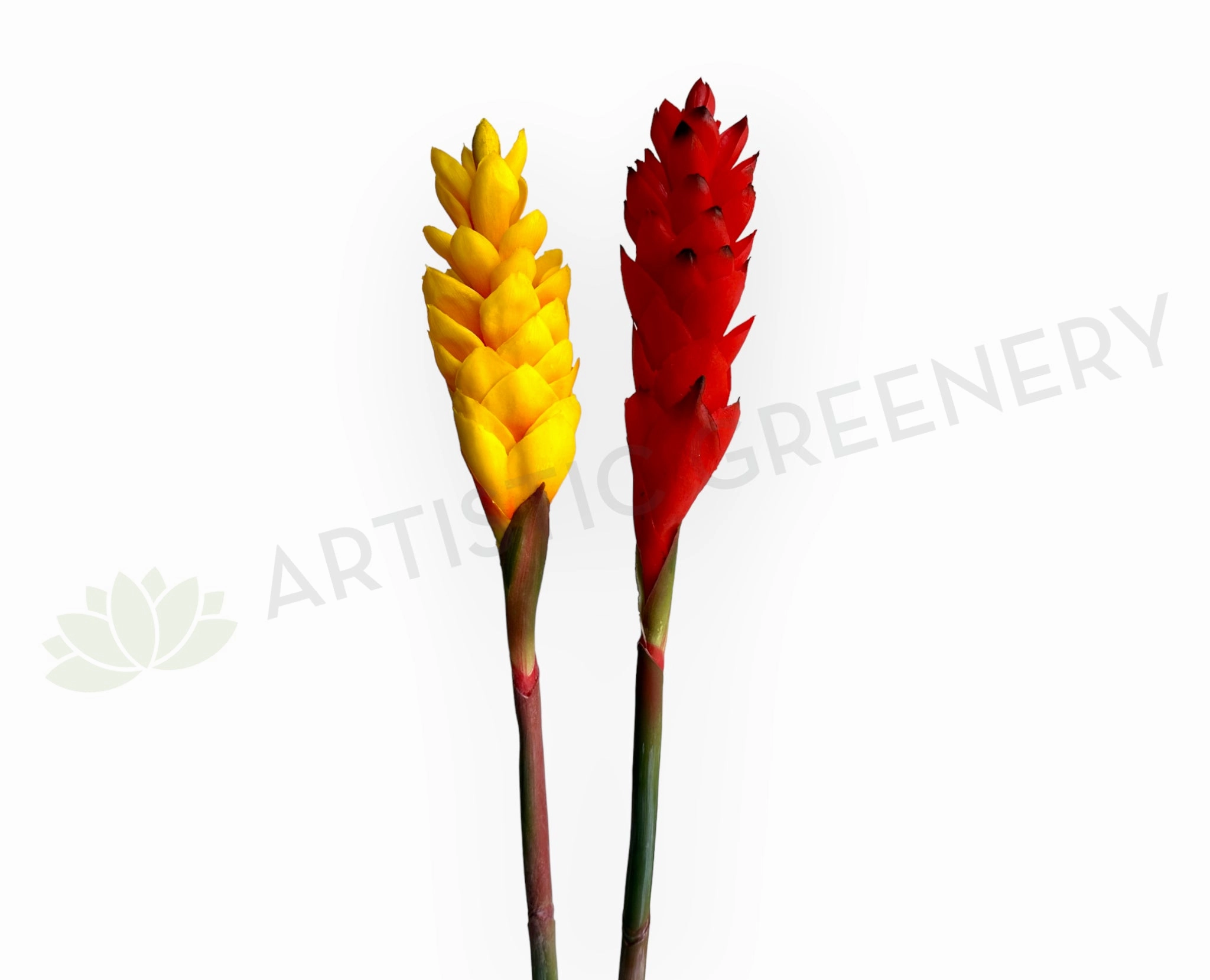 realistic flower bouquet