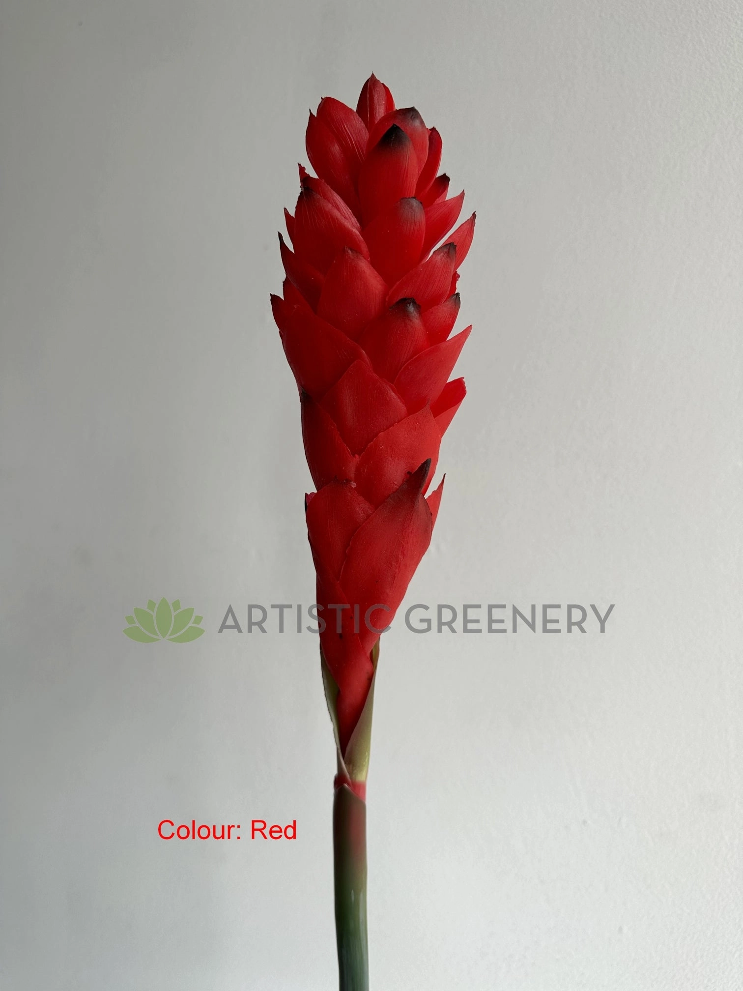 F0440 Aphelandra / Ginger Flower (Bromelia Flowers) 80cm Yellow / Red