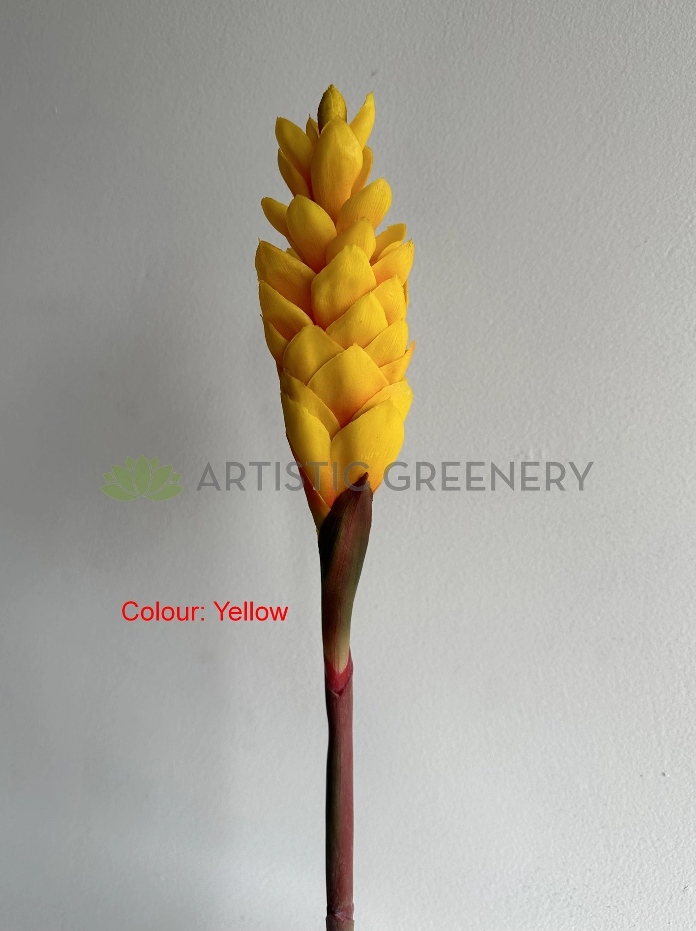 F0440 Aphelandra / Ginger Flower (Bromelia Flowers) 80cm Yellow / Red