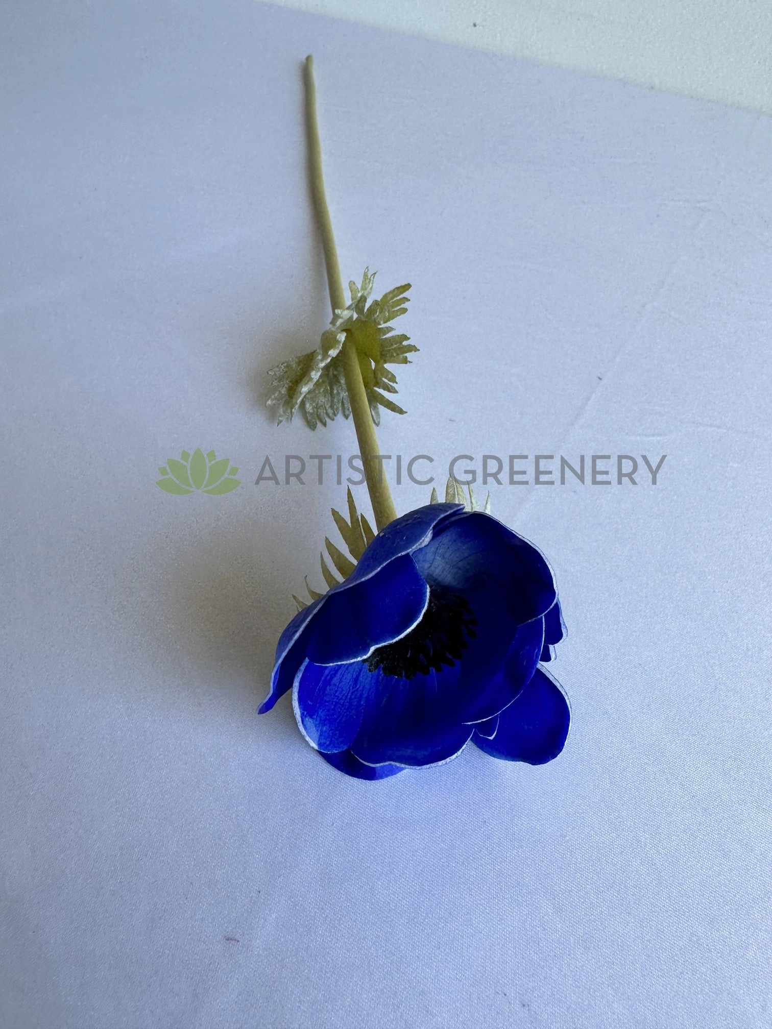 F0446 Anemone Single Stem 50cm Vibrant Blue