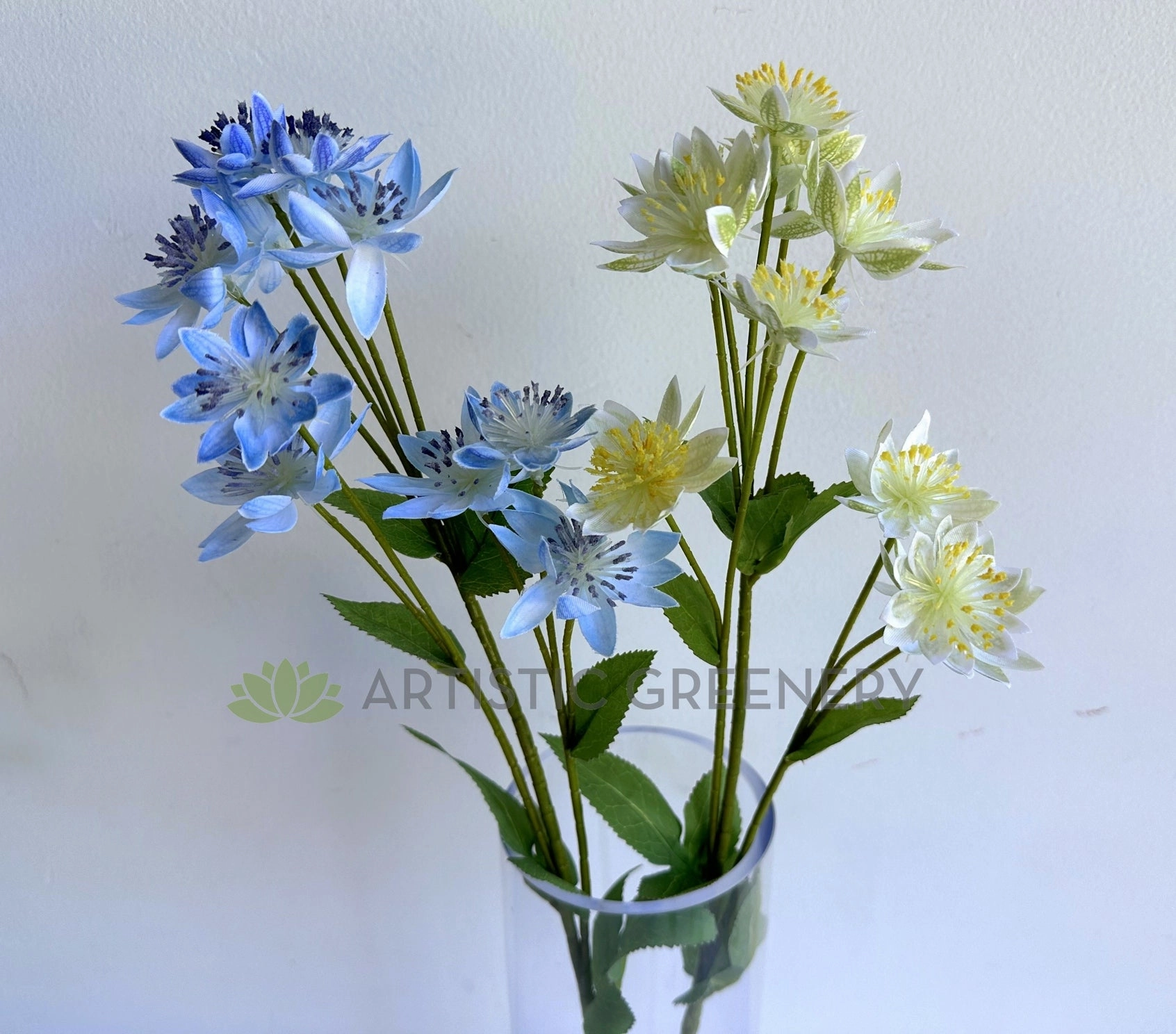 F0456 Astrantia / Blushing Bride Spray 61cm Light Blue / Light Green