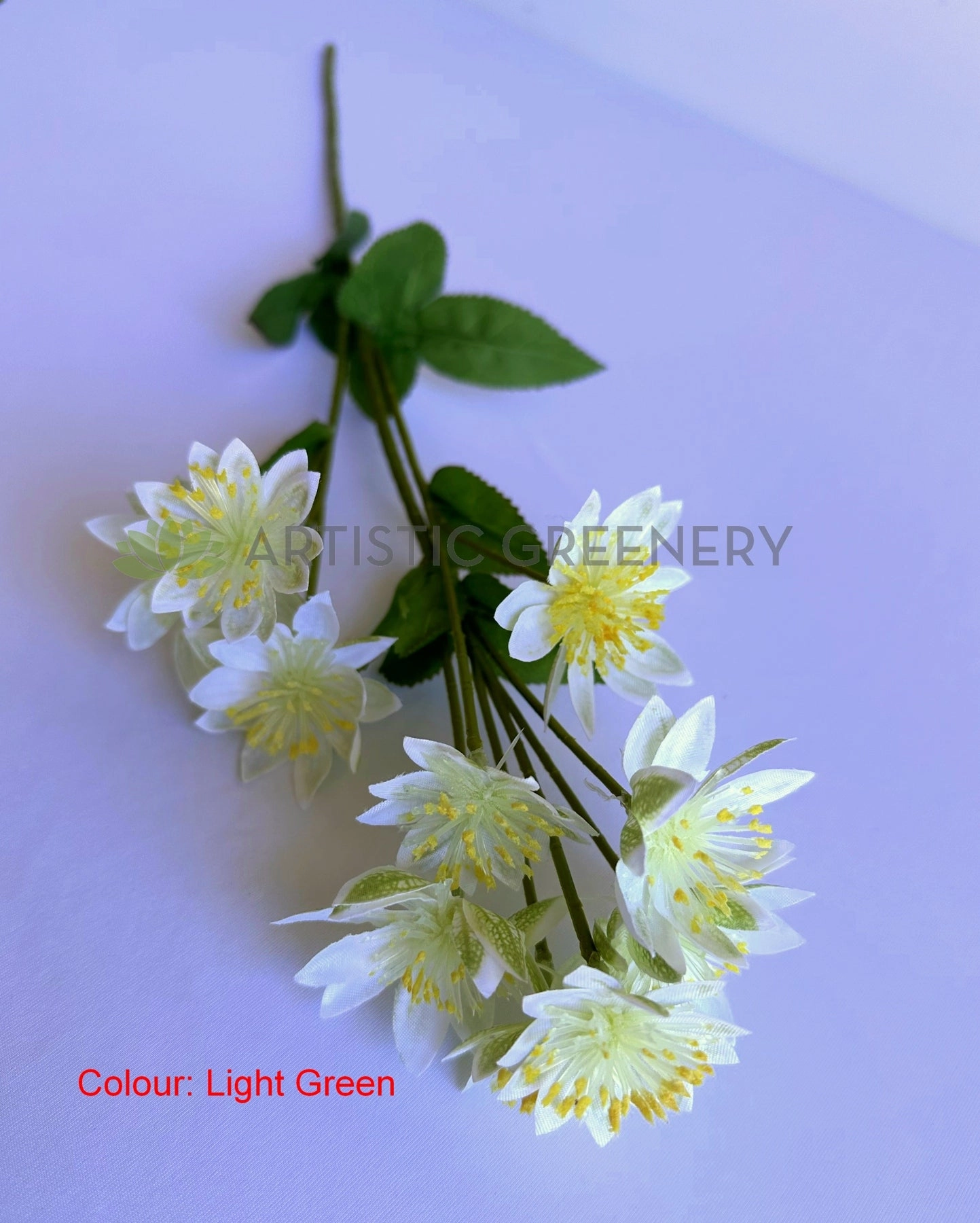 F0456 Astrantia / Blushing Bride Spray 61cm Light Blue / Light Green