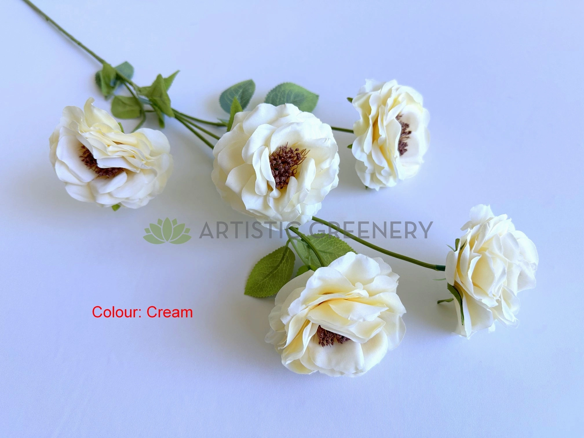 F0480 Camellia / Garden Rose Spray 81cm 5 Colour (SPECIAL)