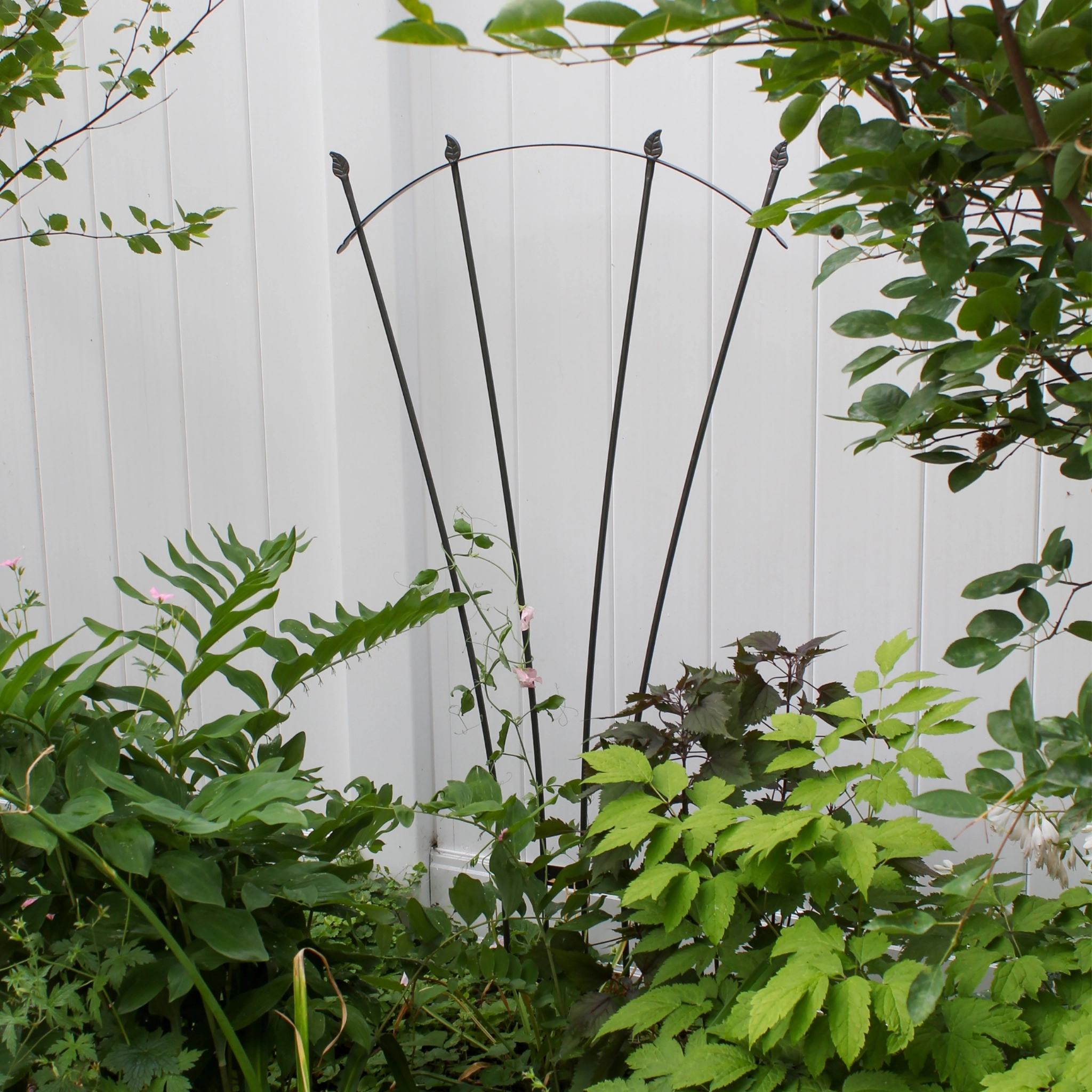 Fan Garden Trellis