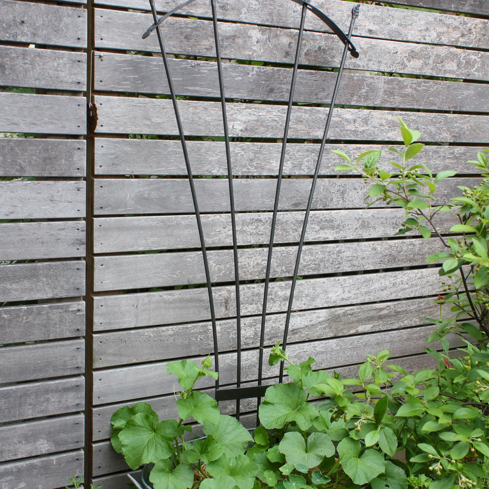 Fan Garden Trellis