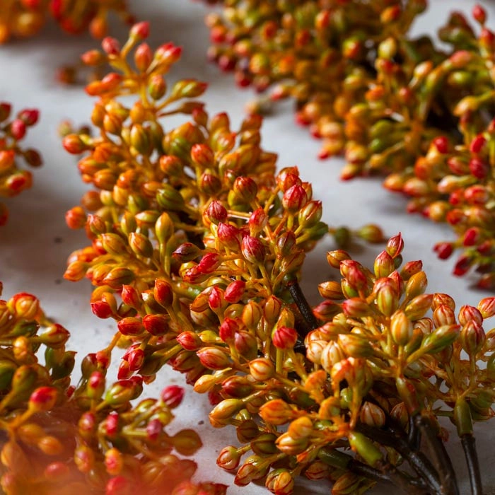 Faux Sorghum Stem Sunset 46cm