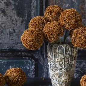 Faux Umber Allium 46cm,dried artificial flower