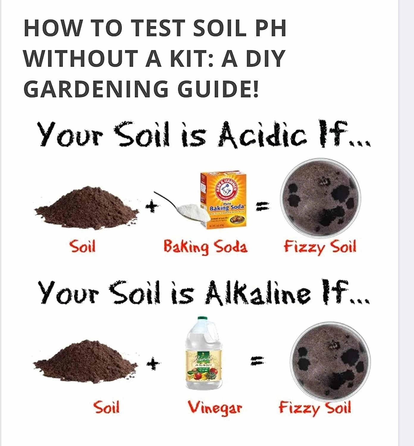 Fertile Nutrient Rich Black Soil and Dried Cow Manure (2.5 Kg   2 Kg) With Free Seeds