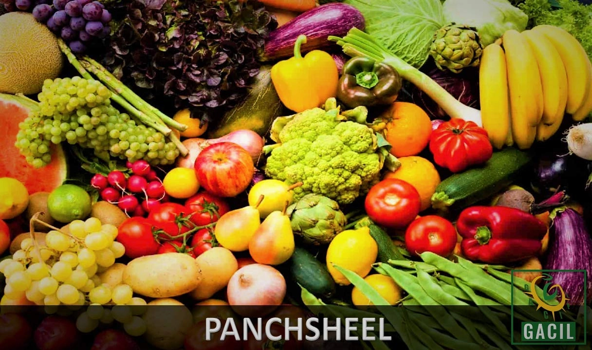 Fertilizer Enrich with Micronutrient Nutrients to Boost Growth (5 Kg)