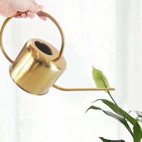 Flo Stainless Steel Watering Can,planting accessories kit