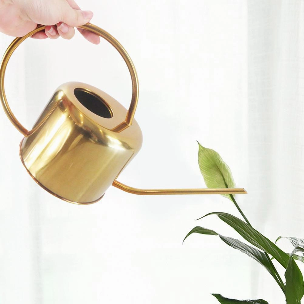 Flo Stainless Steel Watering Can,planting accessories kit