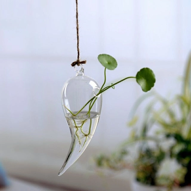 Flower Hanging Vase Glass