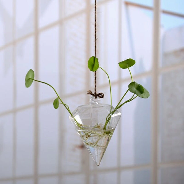 Flower Hanging Vase Glass