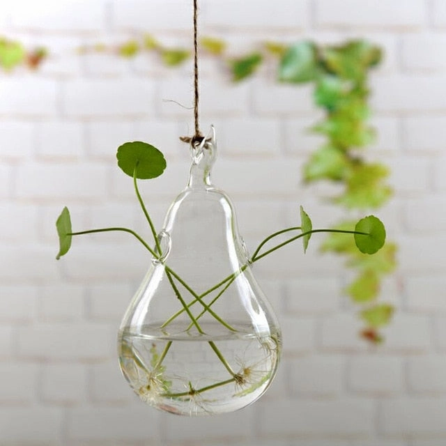Flower Hanging Vase Glass