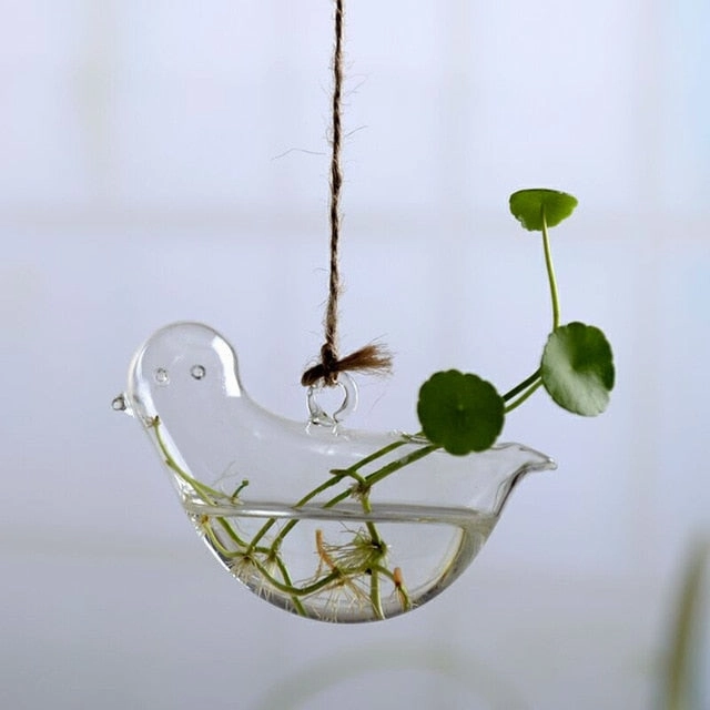 Flower Hanging Vase Glass