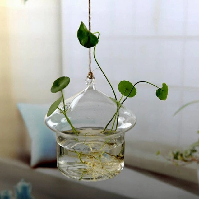 Flower Hanging Vase Glass