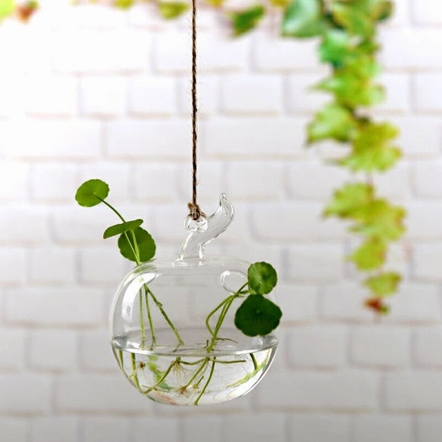 Flower Hanging Vase Glass