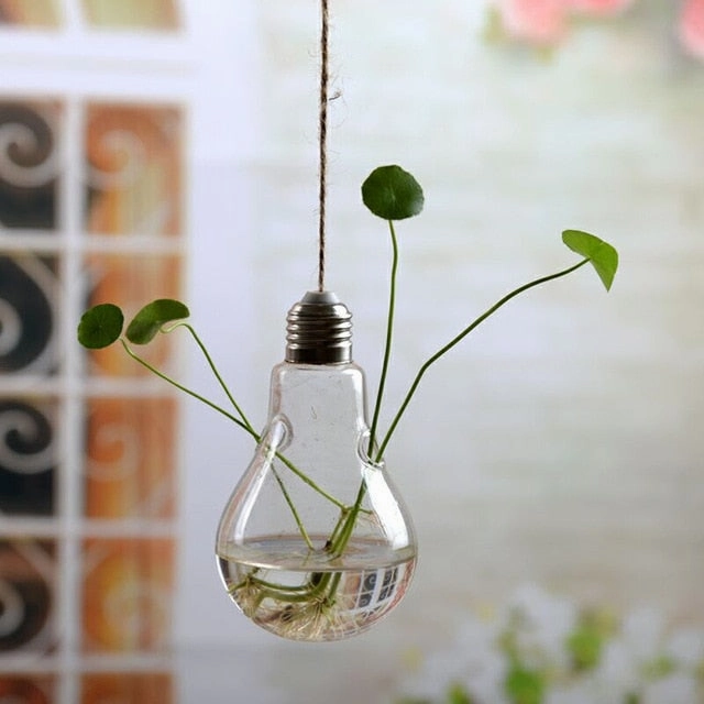 Flower Hanging Vase Glass