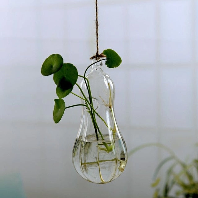 Flower Hanging Vase Glass