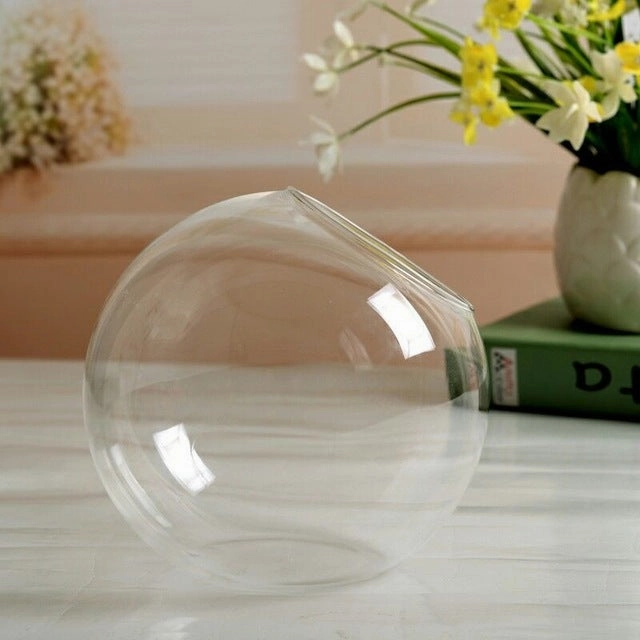Flower Plant Clear Glass Vase