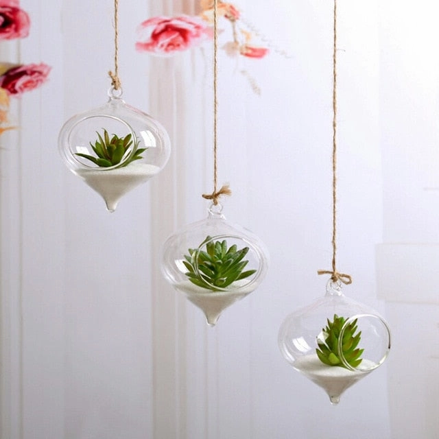 Flower Plant Clear Glass Vase