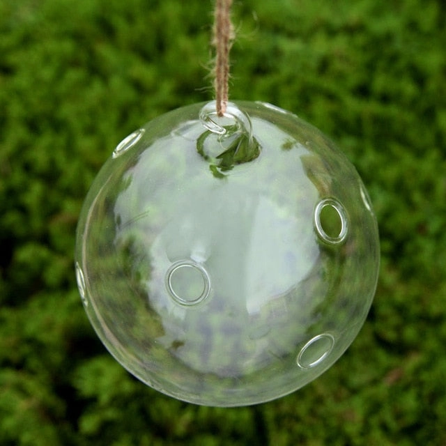 Flower Plant Clear Glass Vase