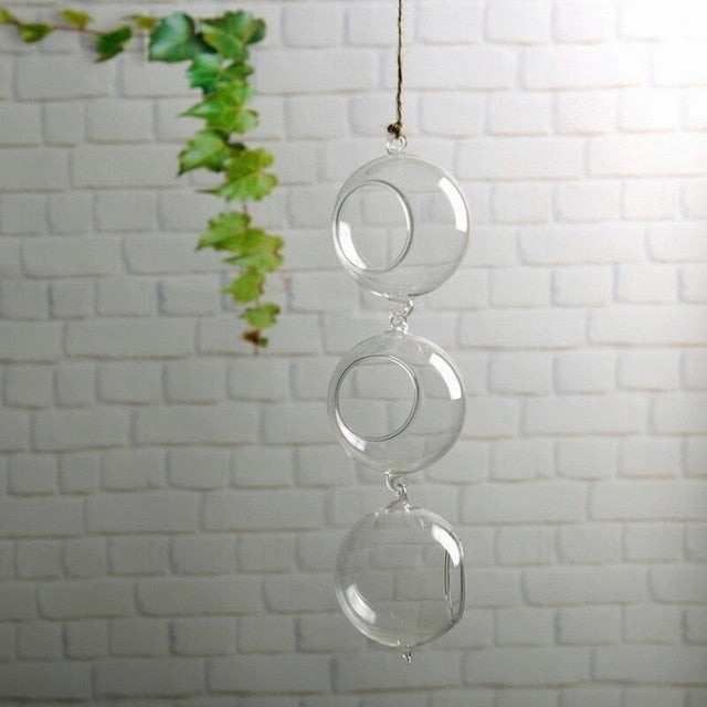 Flower Plant Clear Glass Vase