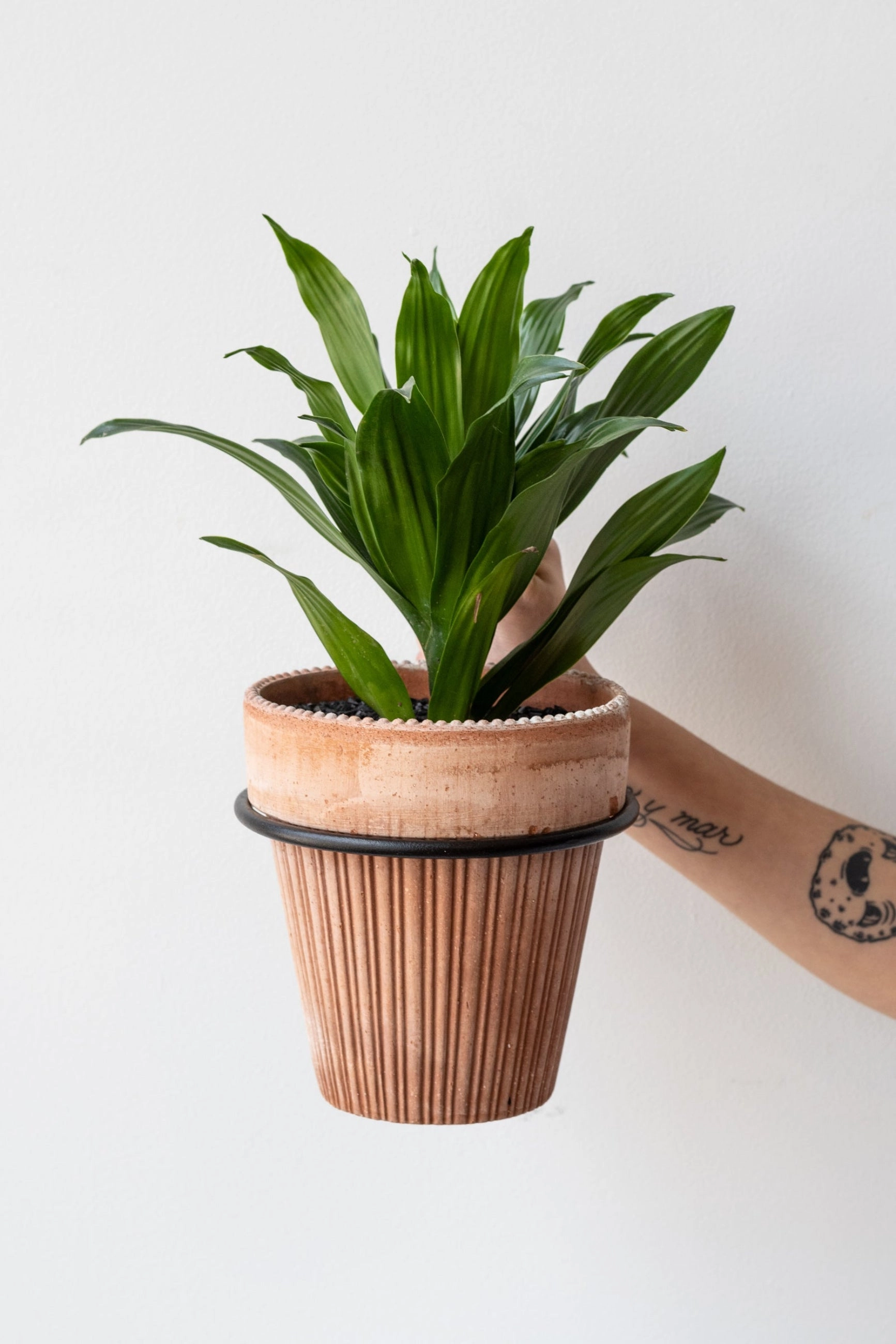 Flowerpot Ring Medium