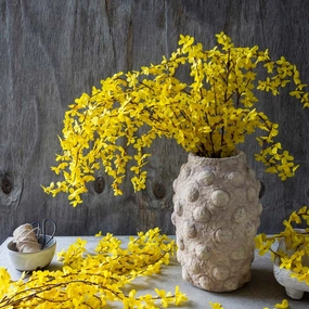 Forsythia Large Yellow Stem 90cm,dried artificial flower